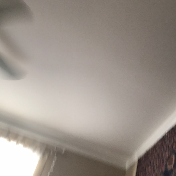 amanda_reneex